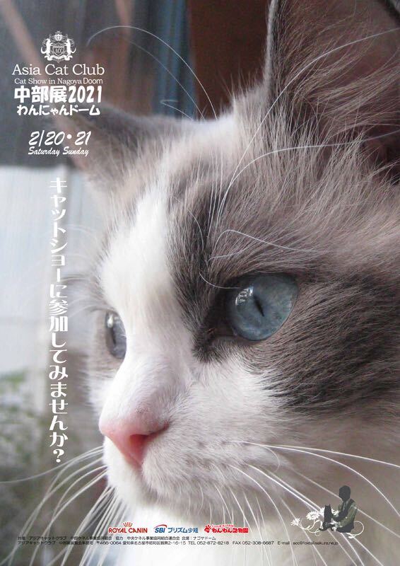 ドーム わん 2021 にゃん