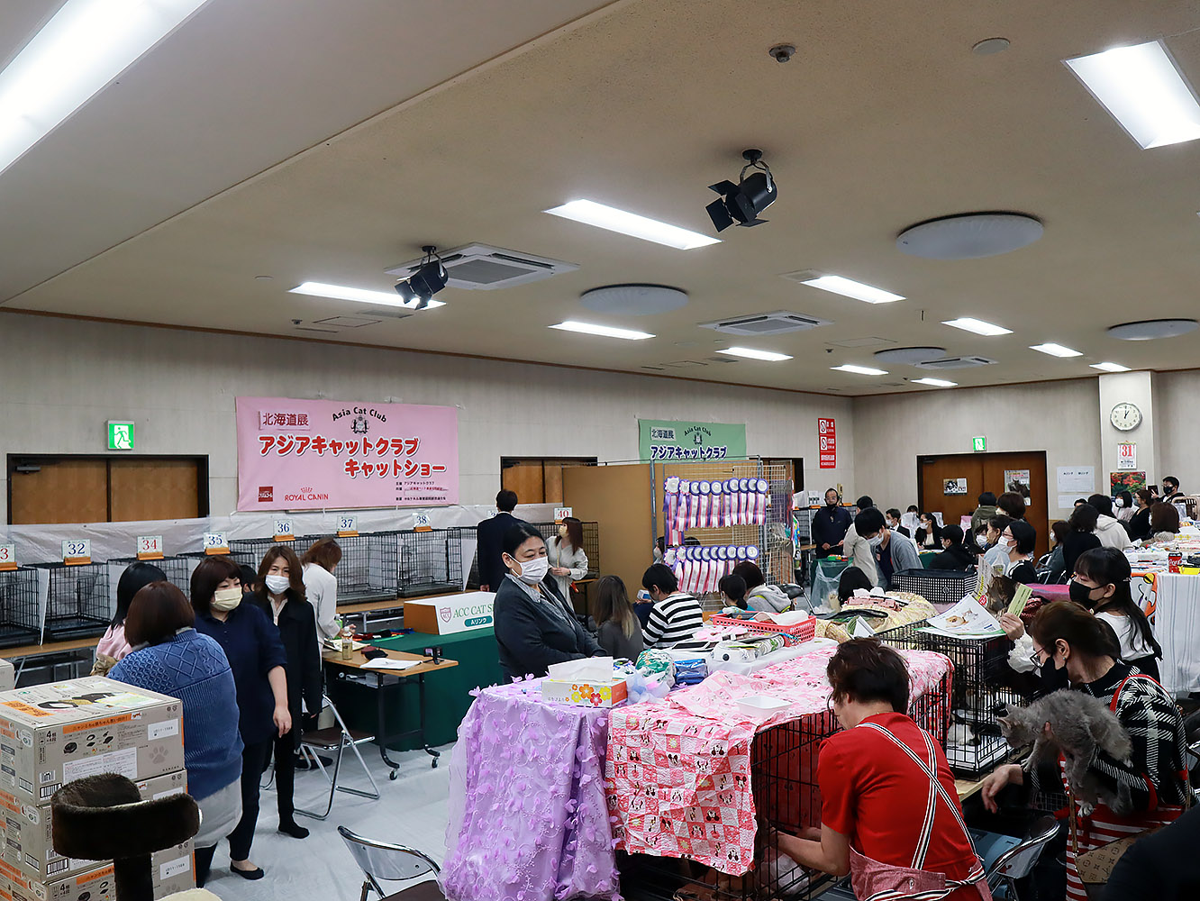 ACCキャットショー in 北海道 2021 ご報告