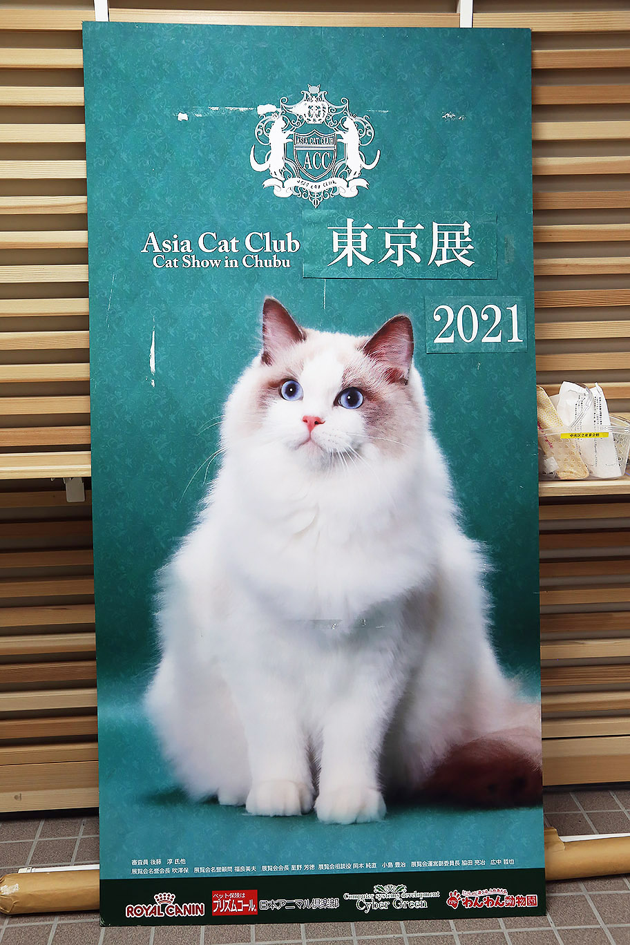 ACCキャットショー in Tokyo 2021 ご報告
