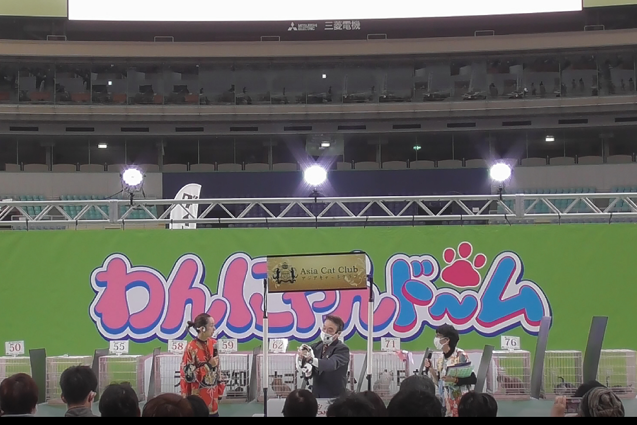Aia Cat Club 中部展2021 わんにゃんどーむ ご報告