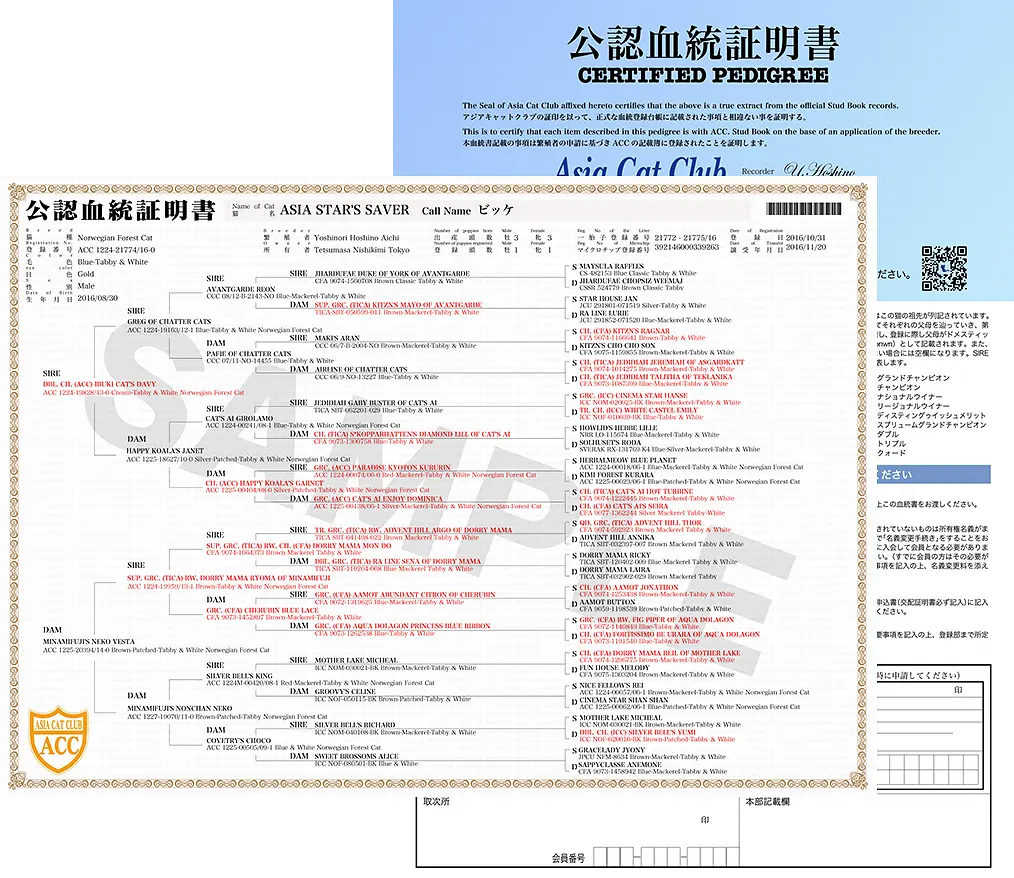 5代血統書のご案内