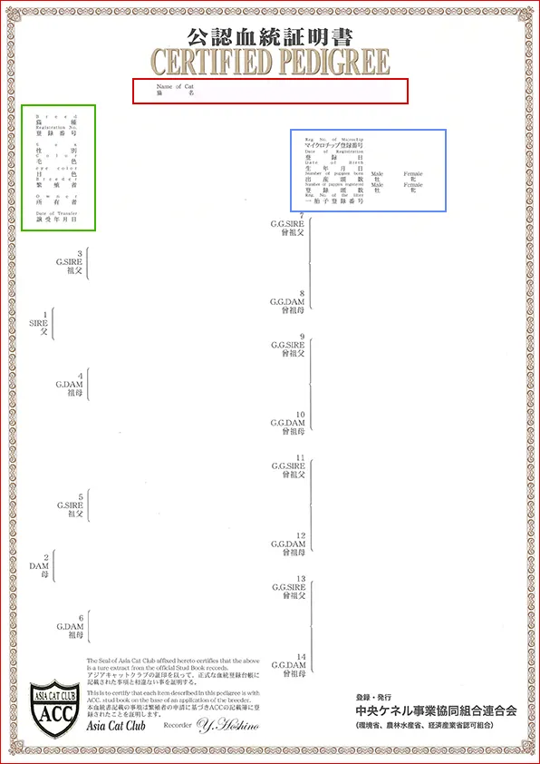 血統書の見方